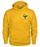 353d Special Operations Group Unisex Hoodie